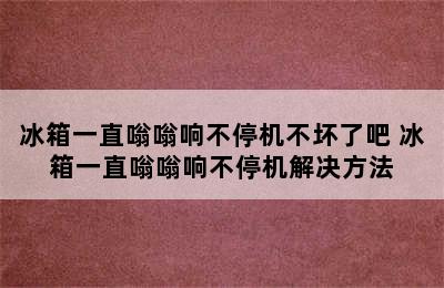 冰箱一直嗡嗡响不停机不坏了吧 冰箱一直嗡嗡响不停机解决方法